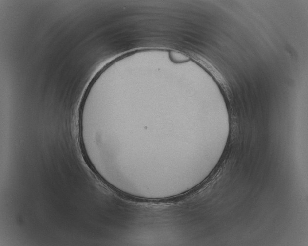 X0000116320996200912291530