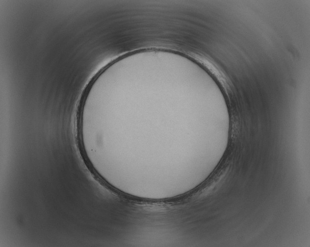 X0000116320999200912291530