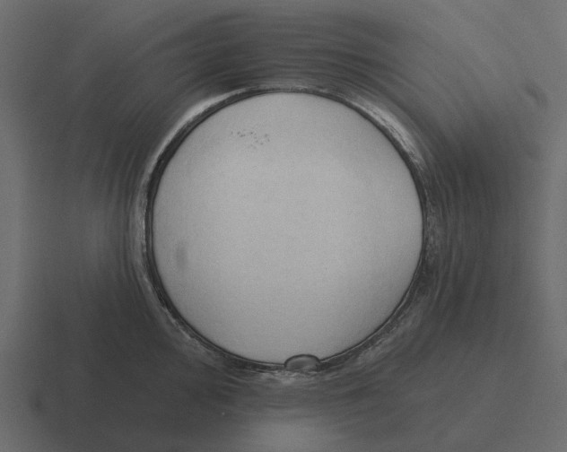 X0000116321000200912291530