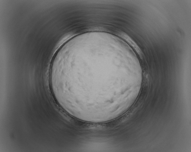 X0000116321002200912291530