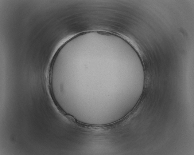 X0000116321003200912291530