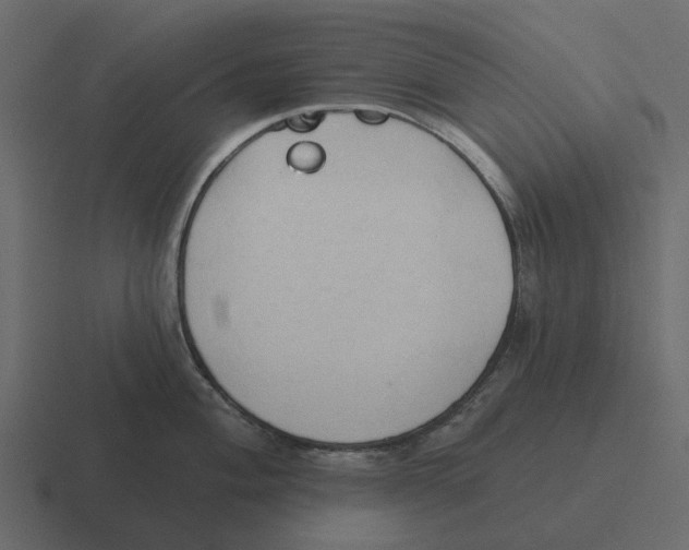 X0000116321004200912291530