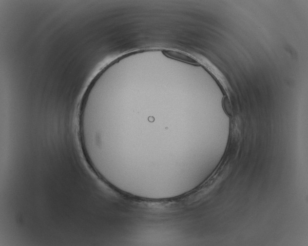 X0000116321005200912291530