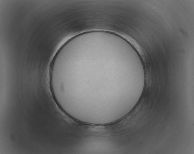 X0000116321006200912291529