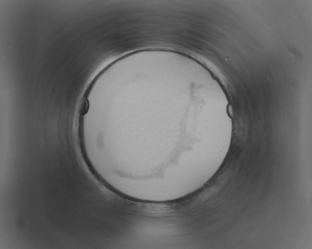 X0000116321007200912291529