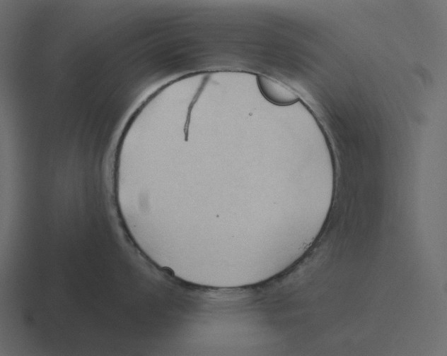 X0000116321008200912291529