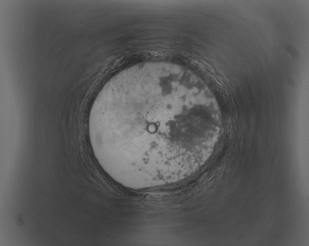 X0000116321009200912291529