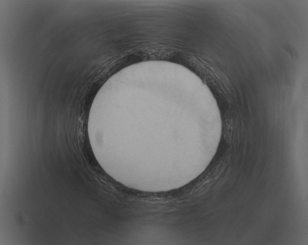 X0000116321010200912291529