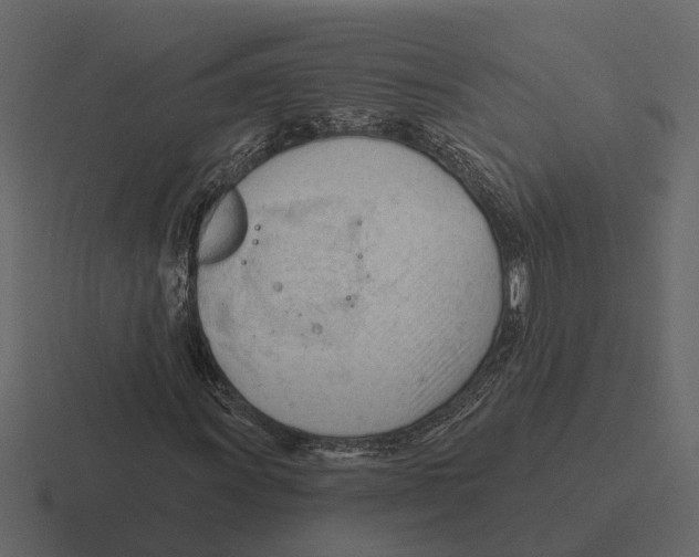 X0000116321011200912291529