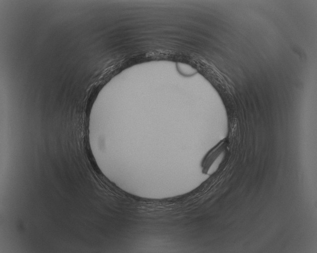 X0000116321012200912291529