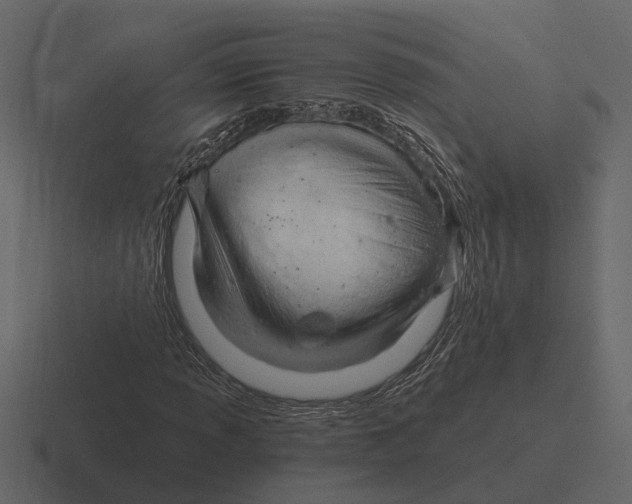 X0000116321013200912291529