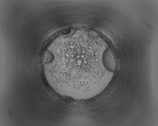 X0000116321015200912291529