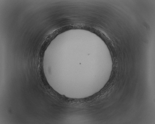 X0000116321016200912291529