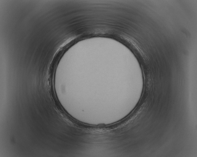 X0000116321018200912291529