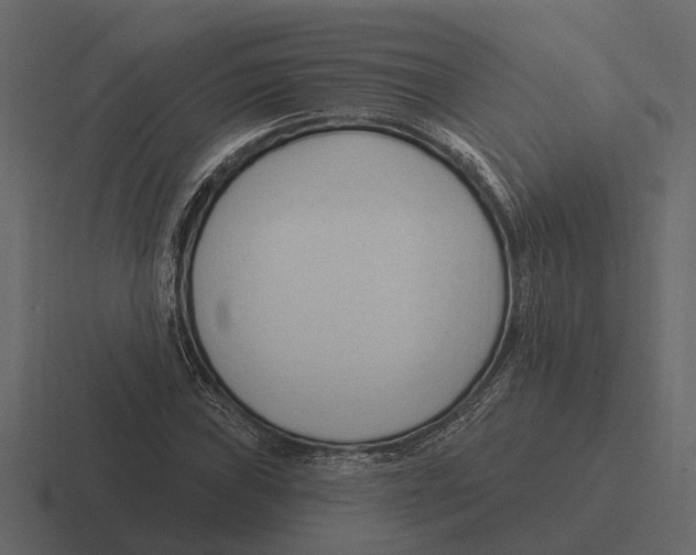 X0000116321019200912291529