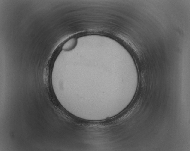 X0000116321021200912291529