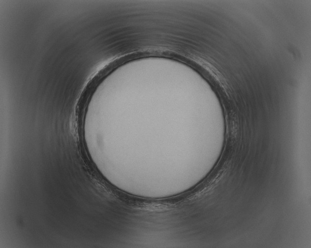 X0000116321022200912291529