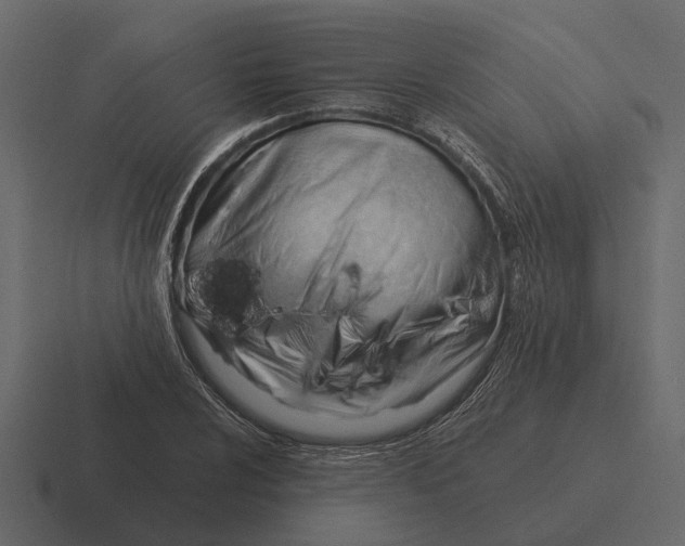 X0000116321024200912291529