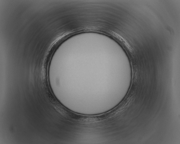 X0000116321027200912291529