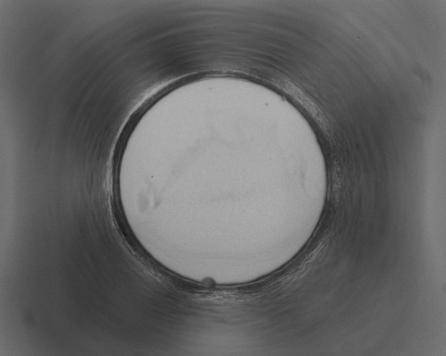 X0000116321028200912291529