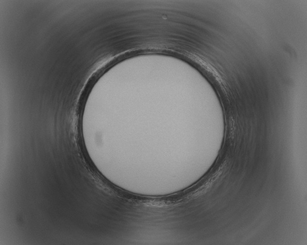 X0000116321029200912291529