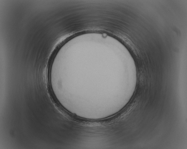 X0000116321030200912291529