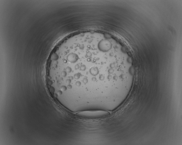 X0000116321031200912291529