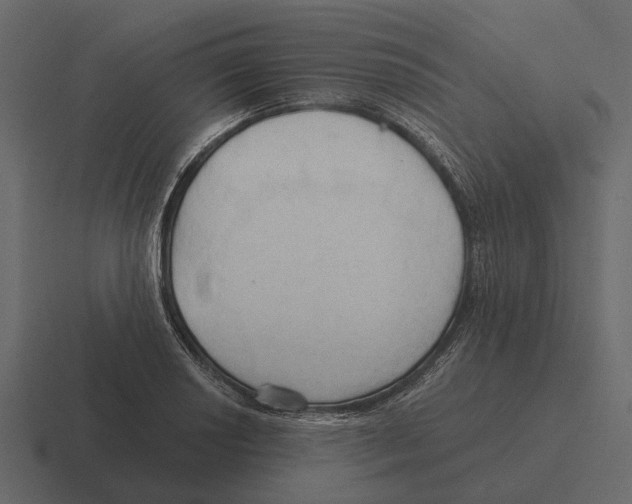 X0000116321034200912291529