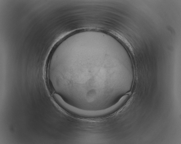 X0000116321037200912291529