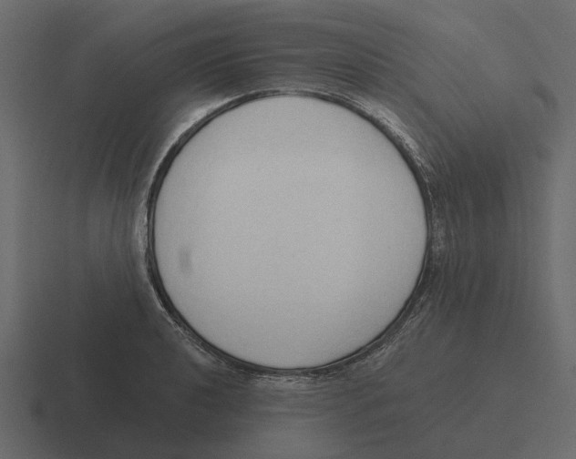 X0000116321040200912291529