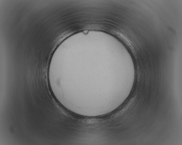 X0000116321041200912291529