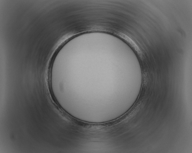 X0000116321043200912291529