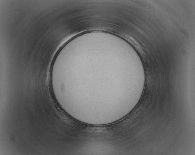 X0000116321044200912291529