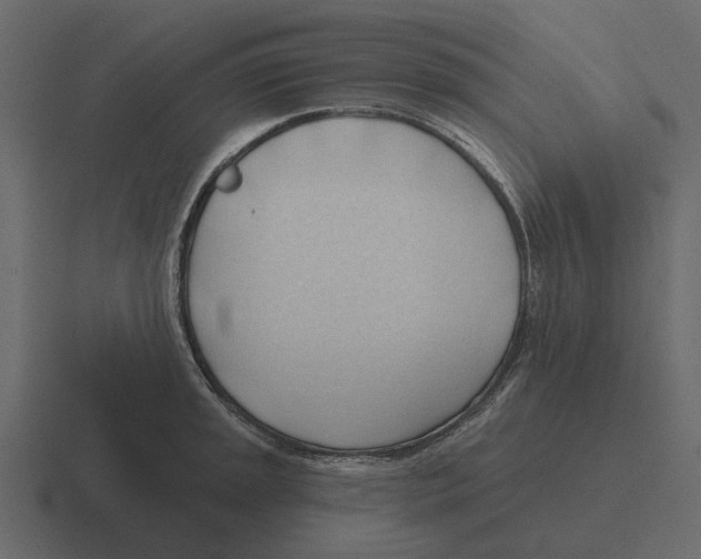 X0000116321045200912291529