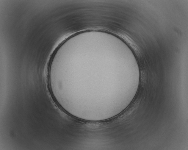 X0000116321046200912291529