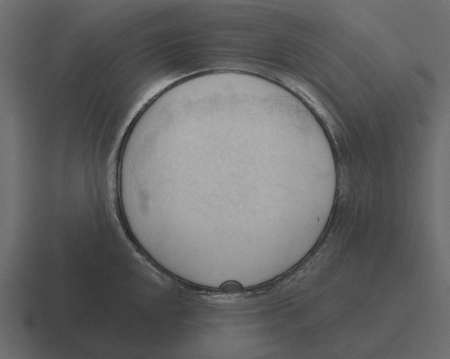 X0000116321048200912291529