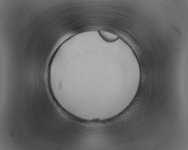 X0000116321050200912291529