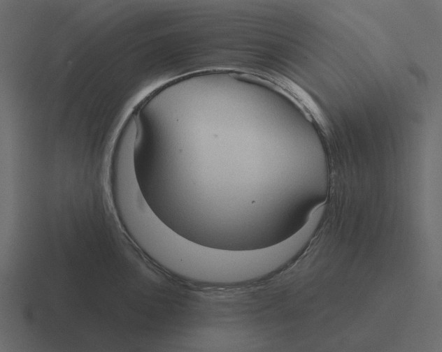 X0000116321051200912291529