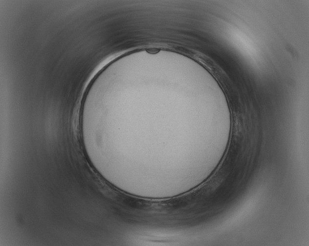 X0000116321052200912291529