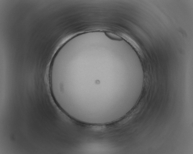 X0000116321055200912291529