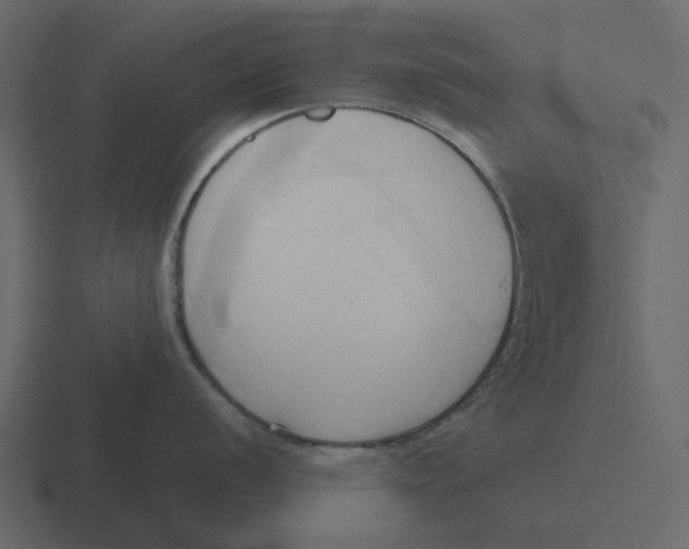 X0000116321056200912291529