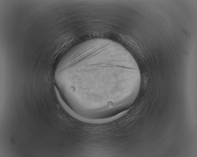 X0000116321060200912291529