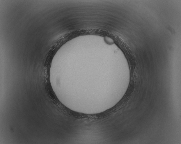 X0000116321062200912291529