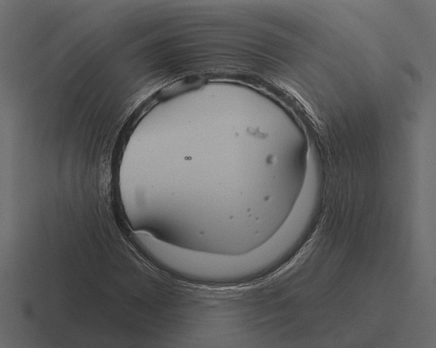 X0000116321065200912291529