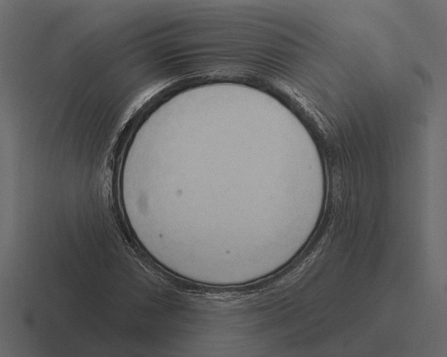 X0000116321066200912291529