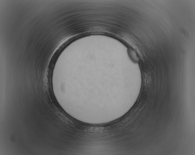 X0000116321068200912291529