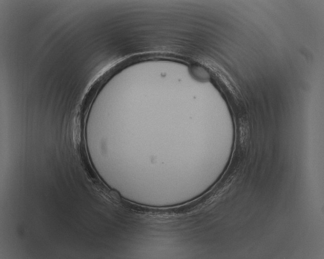 X0000116321069200912291529