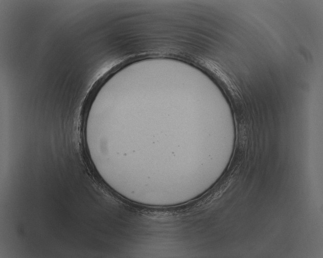 X0000116321071200912291529