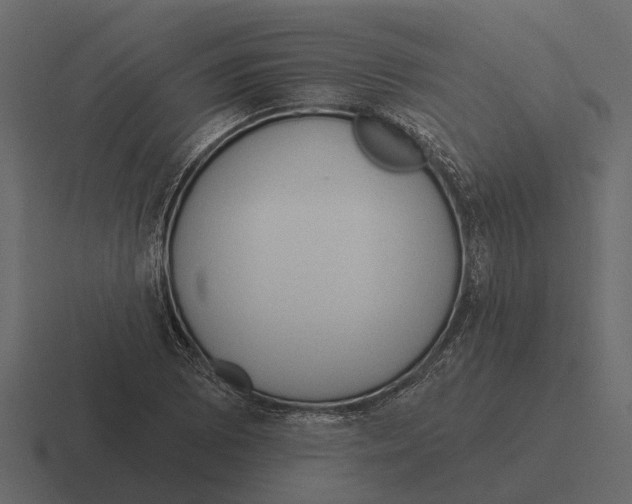 X0000116321073200912291529