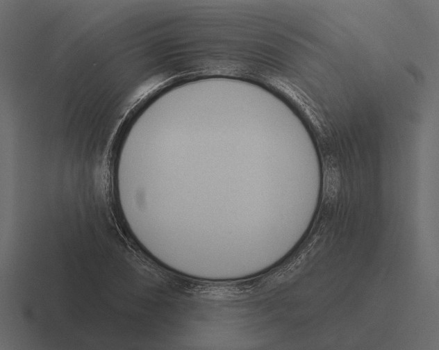 X0000116321074200912291529